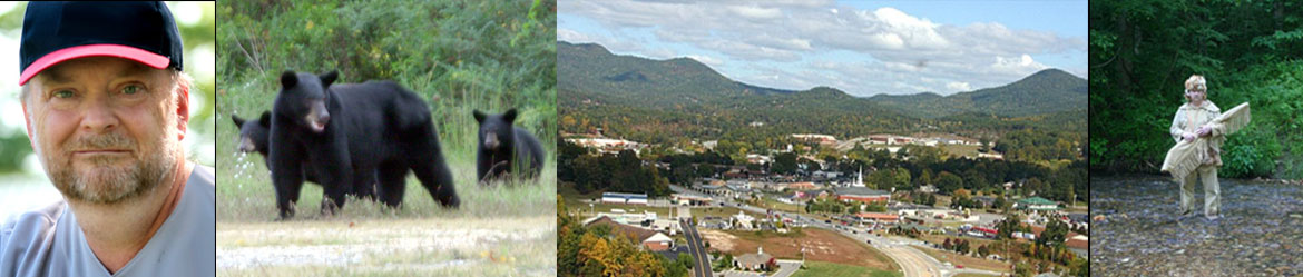 Norman Cooper, bears, and the City of Blairsville